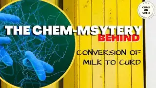 Chemistry Behind | Setting of Curd | How does milk convert into curd?