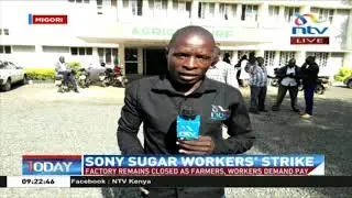 Sony Sugar workers' strike, demand pay