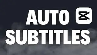 Add Auto Subtitles to Videos : Easy Tutorial