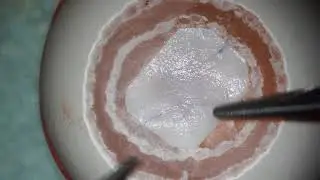 Microsurgical training model