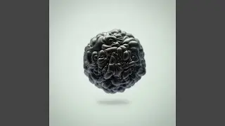 Zero Point