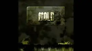 mold