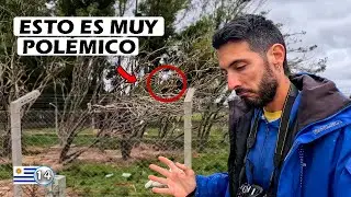 Gran CONTROVERSIA en uno de los SITIOS mas FAMOSOS de URUGUAY (P.N SANTA TERESA)