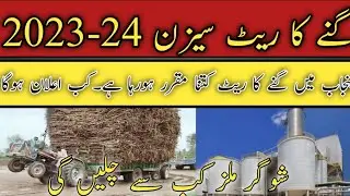 today shugarmil information|shugarcane rates 2023|today shugarcane rates update|@localfarmers20