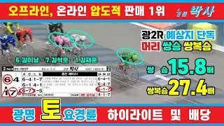 11월 8일 토요경륜 하이라이트 - 경륜예상지 신경륜 박사