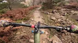 Bike Park Wales - Rim Dinger - Red Tech Trail