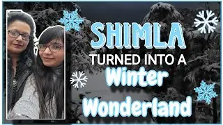 Shimla Turned Into a Winter Wonderland! ❄️ First Snowfall of 2026 #snowfall #2026 #shimla 