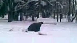 Lamatas bomžiem 4