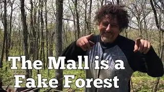 The Soil and The Forest with David Avocado Wolfe