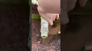 Rain water recycling system for chicken water and garden water