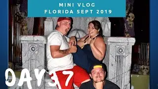 Day 37 mini vlog | Sea World and HHN29| Florida vacation 2019