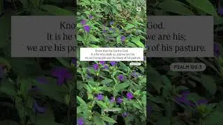 191. He who made us will protect us