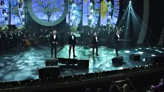 Brio Sonores - Copacul LIVE 2019