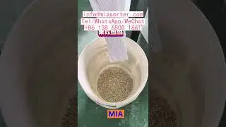 OEM Color Sorter Machine Production Support with Training India Turkey Egypt