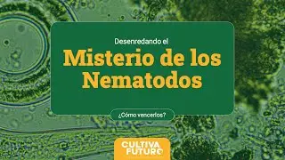 Desenredando el Misterio de los NEMATODOS ¿Cómo vencerlos?