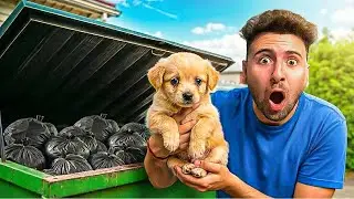 ENCONTREI UM CACHORRINHO ABANDONADO NO MEIO DO LIXÃO!