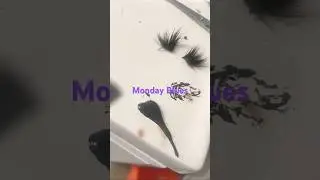 #ViralsbeLike #GoViral #flaxseedchallenge #CocobutterBaby #greenscreen #diyprojects