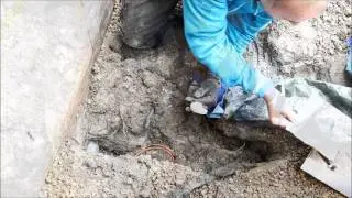 FttH Hauseinführung