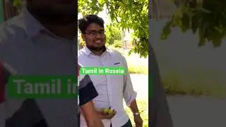Tamil🇮🇳students picking walnuts on Russia🇷🇺streets