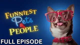 Chow Time | Funniest Pets and People | Season 2 | Episode 01