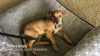 Tethering