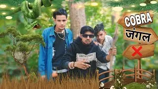 कोबरा जंगल || COBRA JUNGLE || Comady Video #Team44 #Akela || #comedy #viralvideo