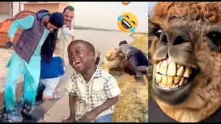 Most Craziest Funny Video Ever {Eps01} | Try Not To Laugh Harder 2025