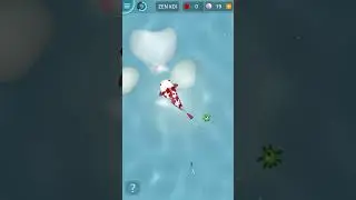 Zen Koi