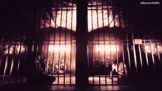 ► Enzo | 