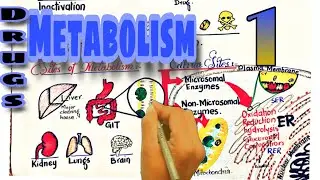 Biotransformation of drugs -part 1 | metabolism of drugs | Pharmacokinetics