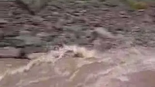 Hermit rapid in a canoe
