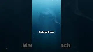 Mariana Trench mystery