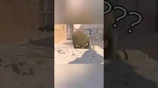 Легендарная торчащая голова в Counter-Strike 2
