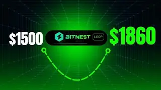 Bitnest Update: My Current Plan and Risk Management Strategy(Update in Pinned Comment)