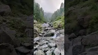 Peochar Valley Swat. #mountains #nature #swat #forest #travel