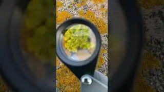 Product Focus Loupe Magnifier 10x23
