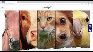 Sempre atualizado: site da Faculdade de Medicina Veterinária - Câmpus UNESP de Araçatuba