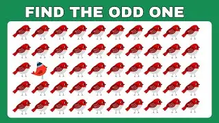 Find the odd bird - Nature Edition | Find the odd one emoji