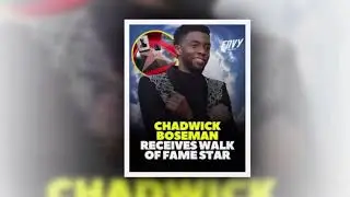 Chadwick Boseman honored with posthumous star on Hollywood Walk of Fame: He was an incredible leader