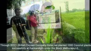 Coconut Tree Plantation under Project NarKEL by MUKTI