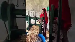 #shortvideo #factory #shorts