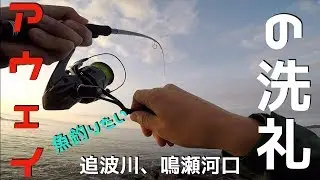2週連続で北に遠征！追波川と鳴瀬川でアウェイの洗礼受けました•••