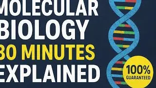 Molecular Biology in 30 Minutes | Class 25 Full Chapter | 100% Exam Guarantee #ncertbiology #bio