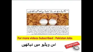 Chicken Fried Shoes | New York | Pakistan Jobs