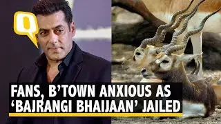 Blackbuck Case: Fans, B&rsquo;Town Anxious Over Salman Khan&rsquo;s Conviction | The Quint