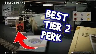 Best Tier 2 Perks in Cold War #Shorts