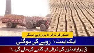 Brick Prices Surge in Flood-Hit Multan | Rehabilitation Costs Skyrocket