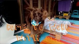 My Home Business | Dog Grooming Shop