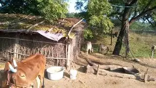 most beautiful village located in ,#khandwa madhyapradesh