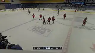 Boys 2016 vs Reapers Hockey Association Reapers Hockey 2016